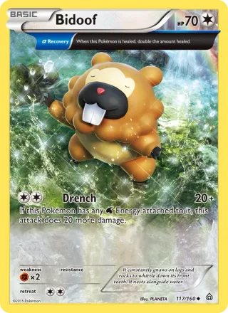 Bidoof #117 · Primal Clash Pokémon card