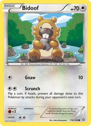 Bidoof #116 · Primal Clash Pokémon card