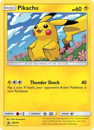 Pikachu #SM206 · SM Black Star Promos Pokémon card