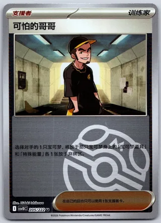 Ruffian (可怕的哥哥) #205 · CSV10C (共逐荣光) Pokémon Chinese card