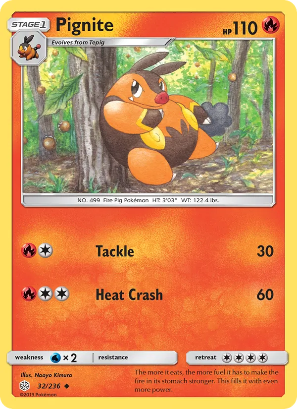Pignite full card art