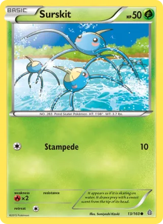 Surskit #13 · Primal Clash Pokémon card