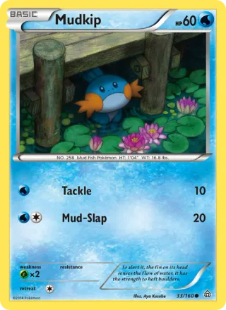 Mudkip #33 · Primal Clash Pokémon card