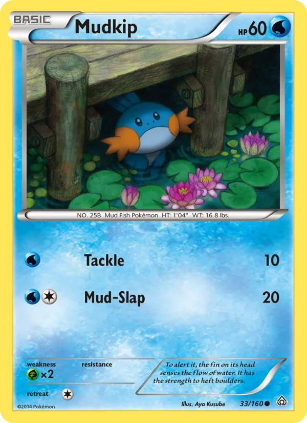 Mudkip full card art