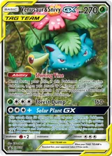 Venusaur & Snivy GX